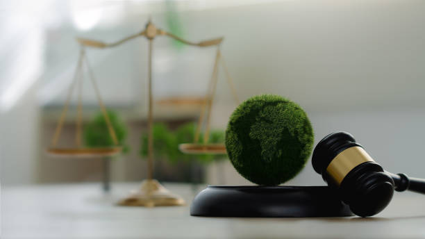 environmental law firm